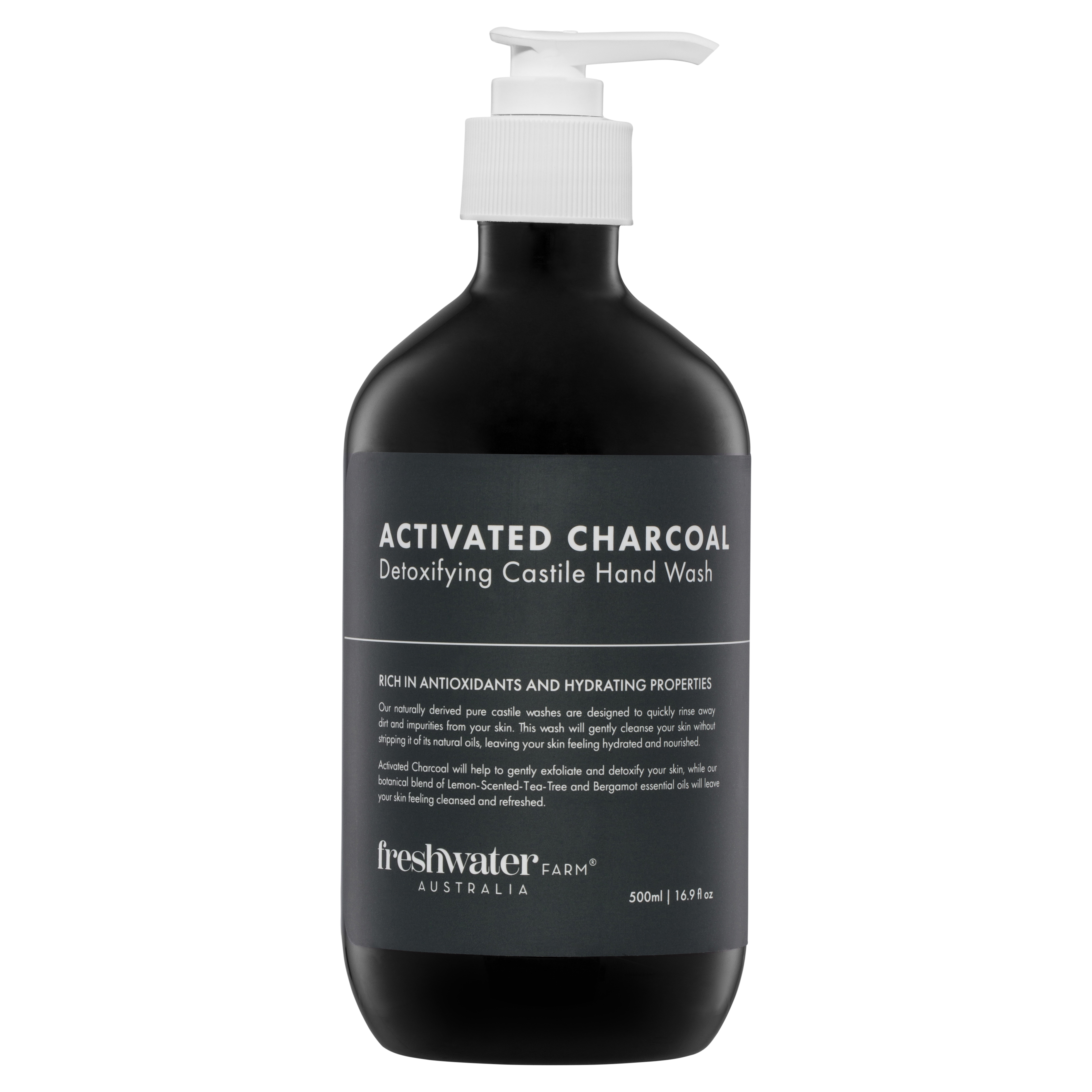 Activated Charcoal, Detoxifying Castile Hand Wash